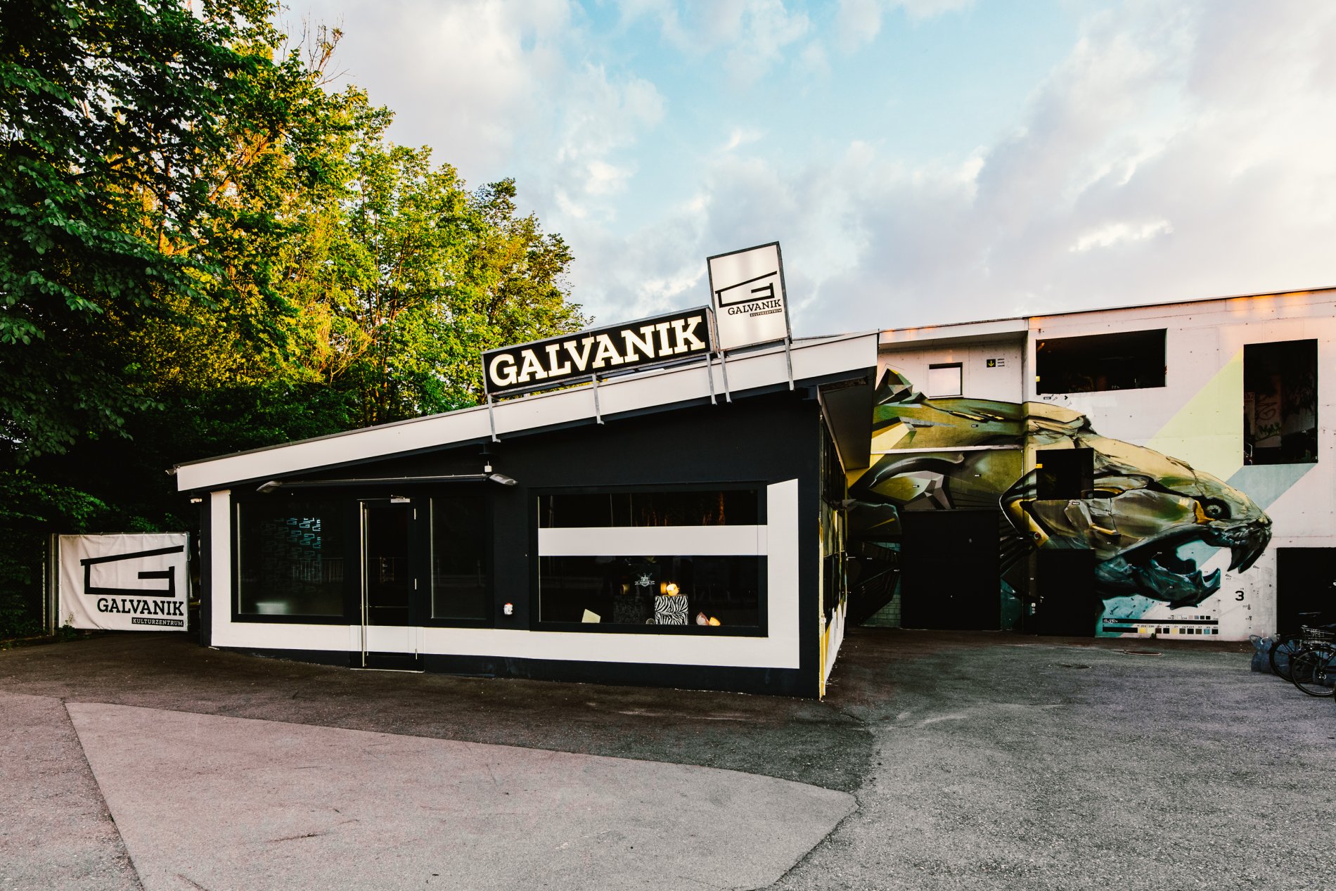 Galavanik Zug