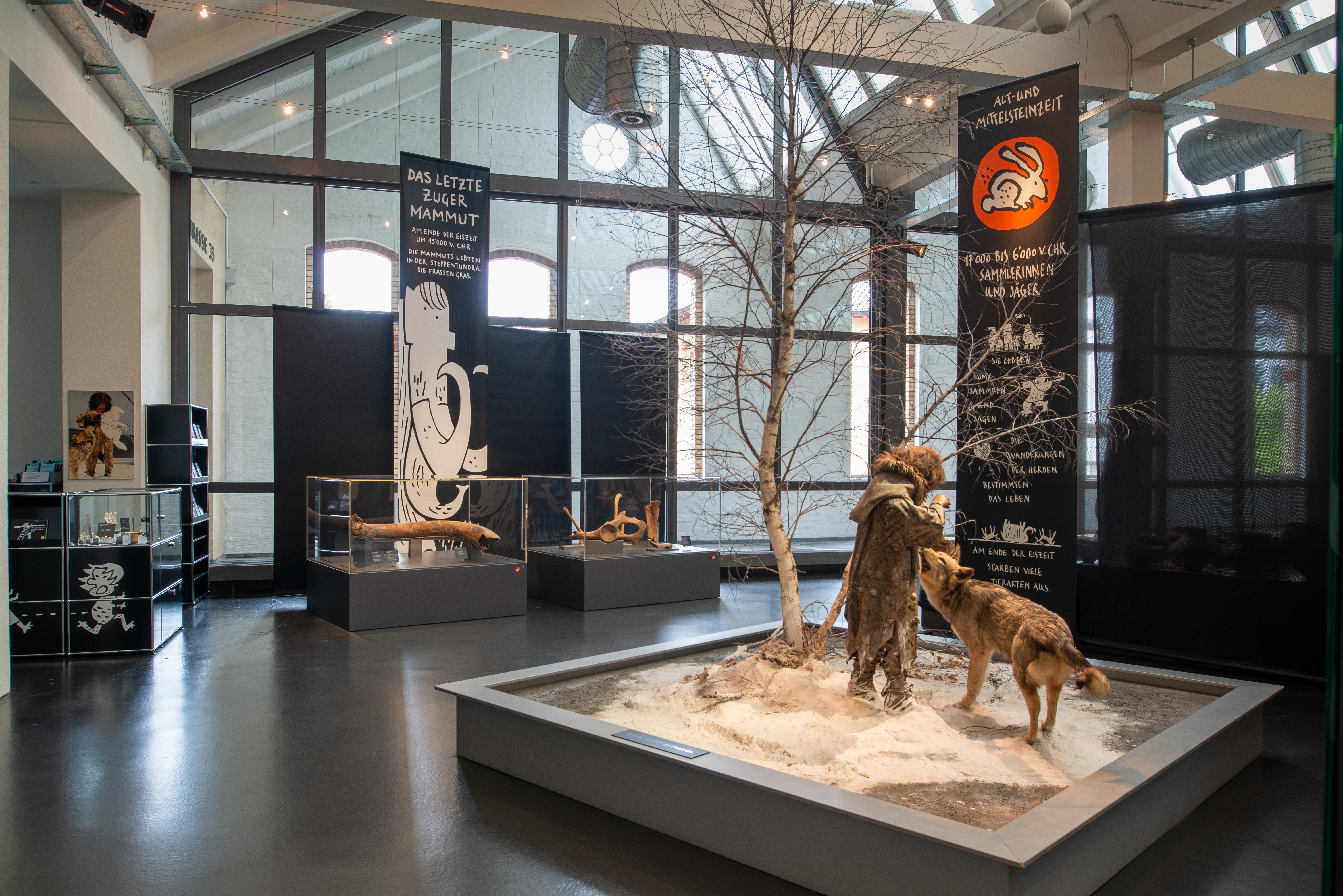 Museum für Urgeschichte(n)